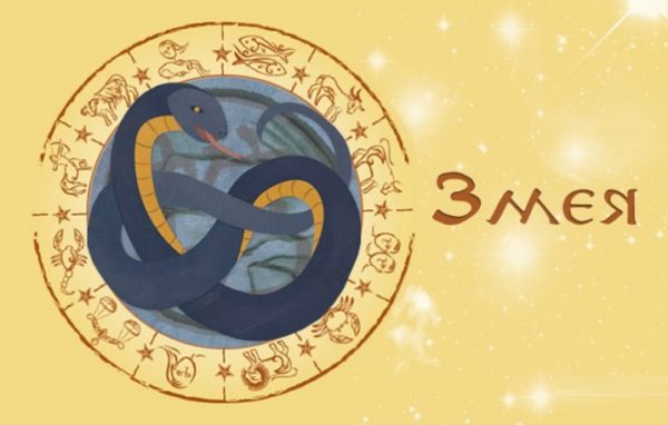 Восточный гороскоп на 2020 год Змея