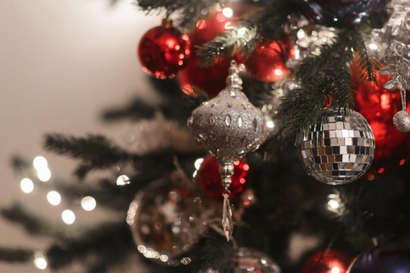 Экологи рассказали, как правильно утилизировать новогоднюю елку