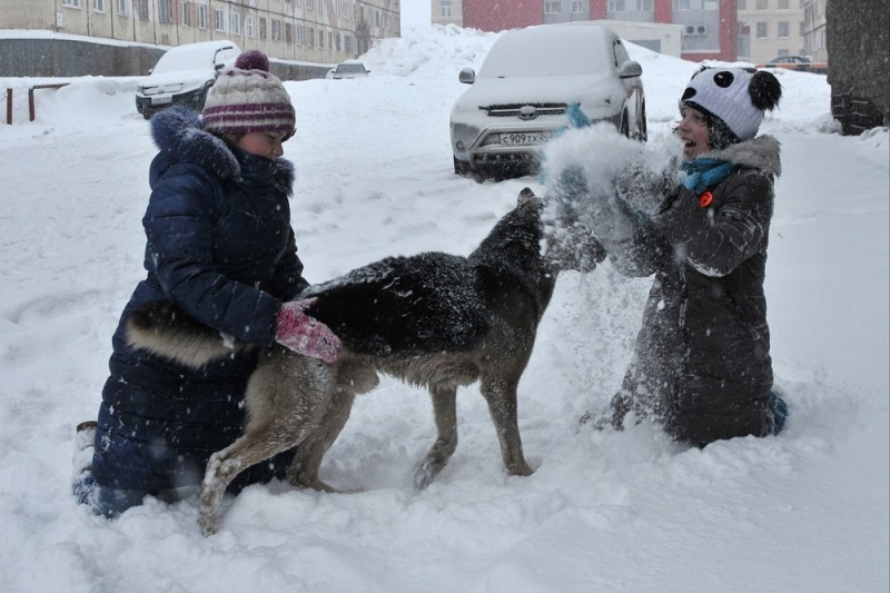 Климатолог рассказал, какие изменения погоды ждут россиян в 2022 году