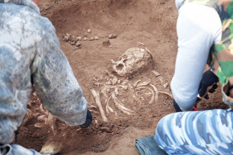 Раскрыта тайна массового захоронения возрастом 5000 лет